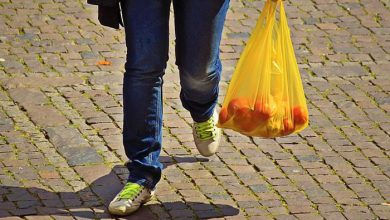 Yeni Zelanda’da plastik poşet yasağı başladı