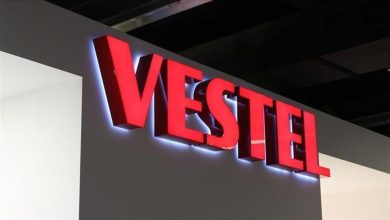 Vestel, iki yurt dışı iştirakini birleştiriyor